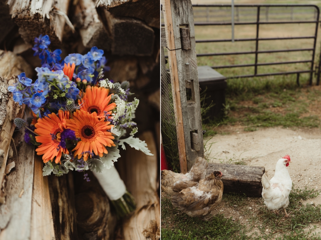 coyote spring farm wedding